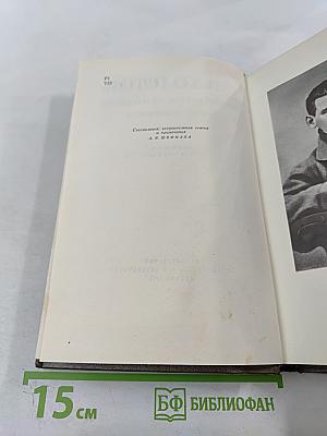 Дневники 1847-1894 гг. Том девятнадцатый