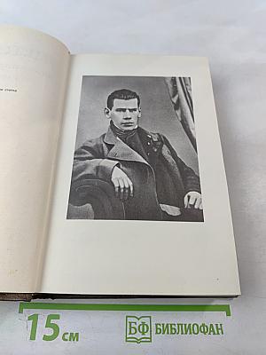 Дневники 1847-1894 гг. Том девятнадцатый