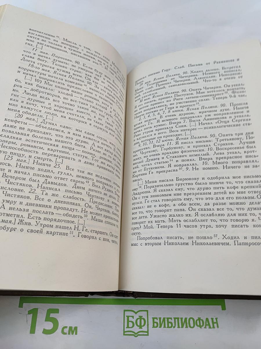 Дневники 1847-1894 гг. Том девятнадцатый