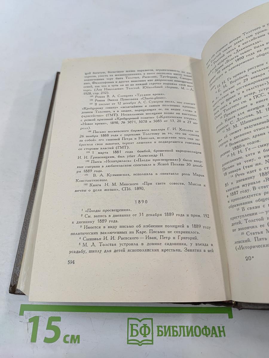 Дневники 1847-1894 гг. Том девятнадцатый