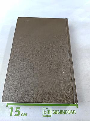 Дневники 1847-1894 гг. Том девятнадцатый