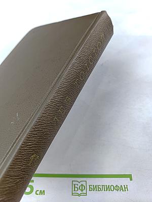 Дневники 1847-1894 гг. Том девятнадцатый