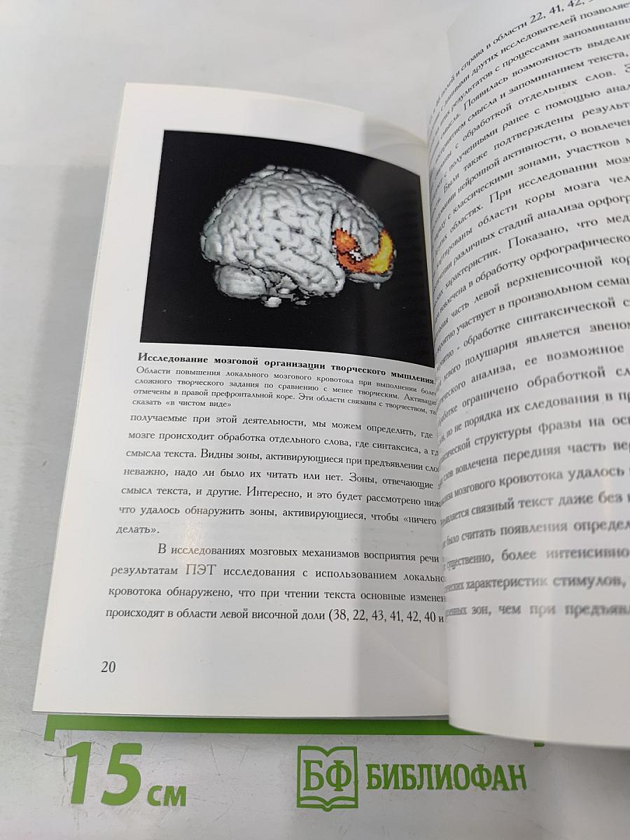 Институт мозга человека