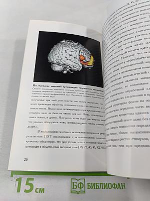 Институт мозга человека