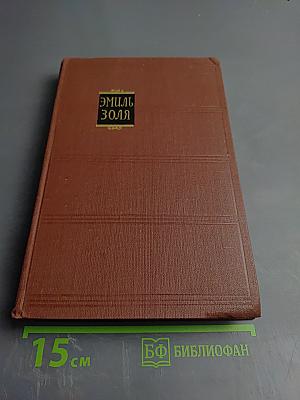 Разгром. Том 15