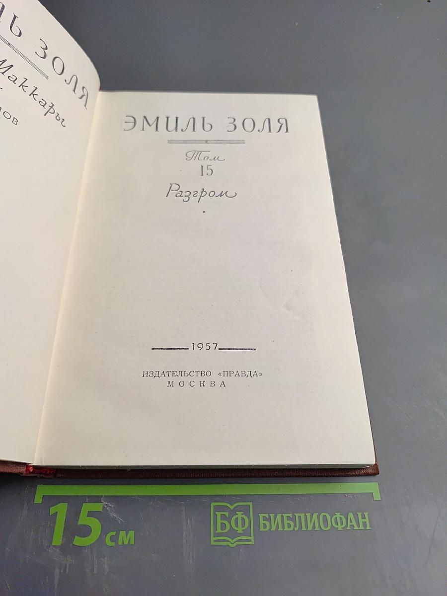 Разгром. Том 15