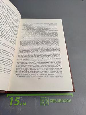 Разгром. Том 15