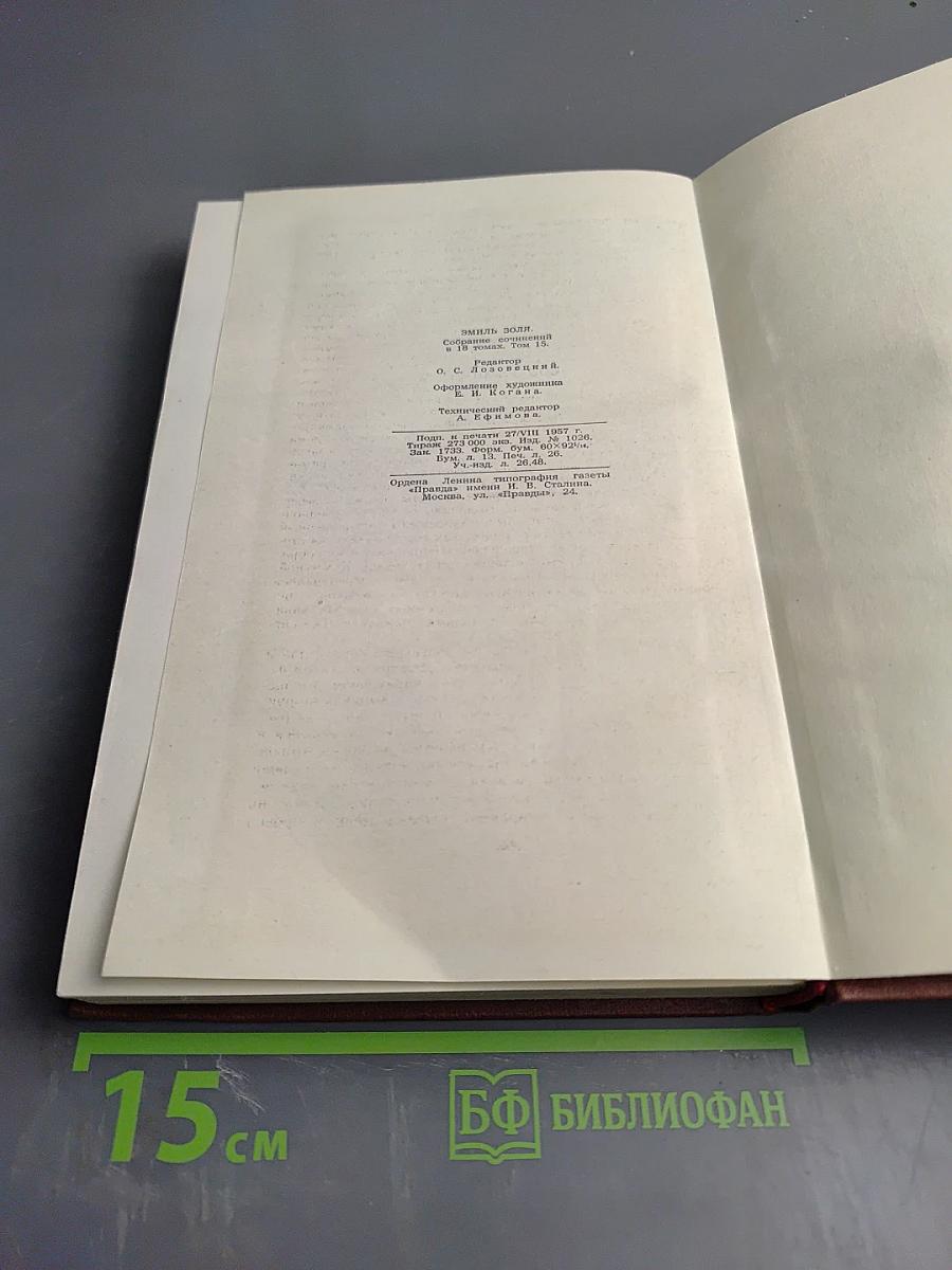 Разгром. Том 15