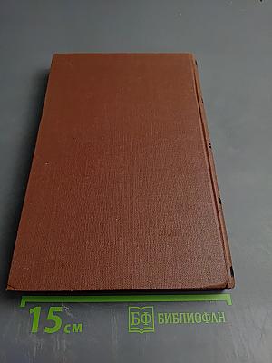 Разгром. Том 15