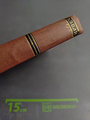 Разгром. Том 15