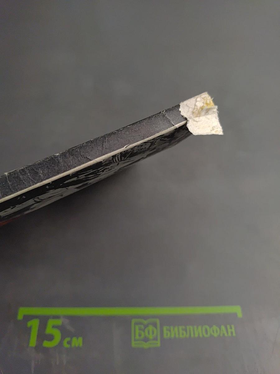 Фюреры. Общая теория фашизма. Книга I.