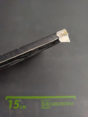 Фюреры. Общая теория фашизма. Книга I.