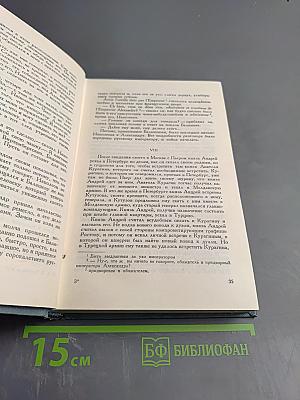 Война и мир. Том третий