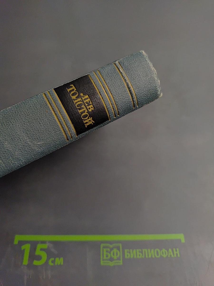 Война и мир. Том третий