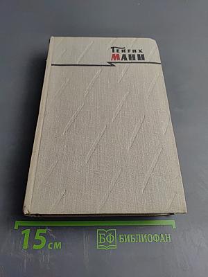 Сочинения. Том второй. Учитель Гнус. В маленьком городе