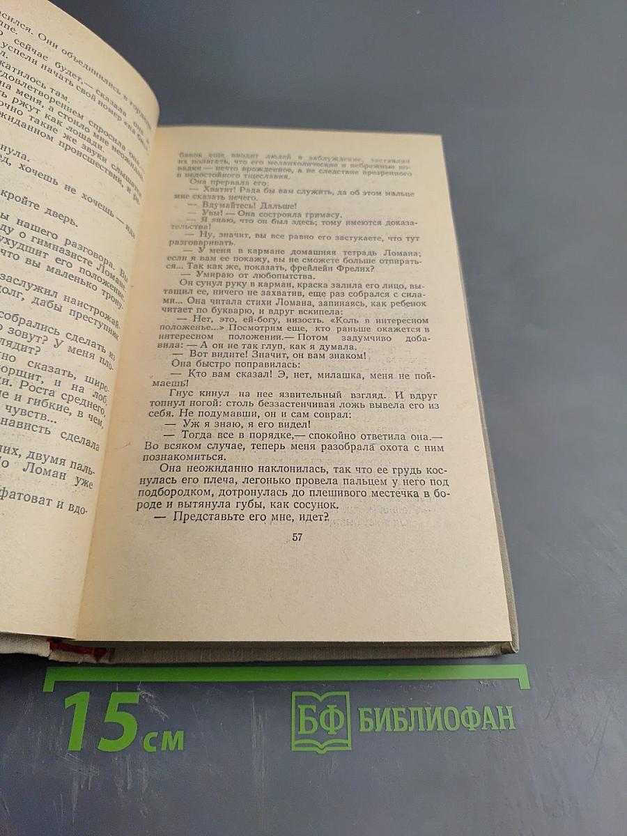 Сочинения. Том второй. Учитель Гнус. В маленьком городе