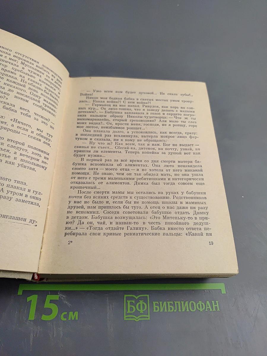 Чижик - птичка с характером