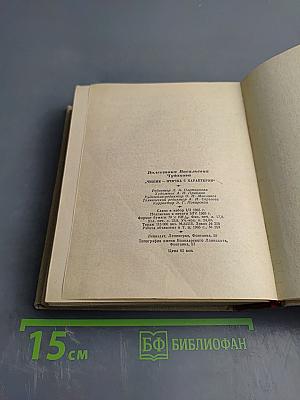 Чижик - птичка с характером