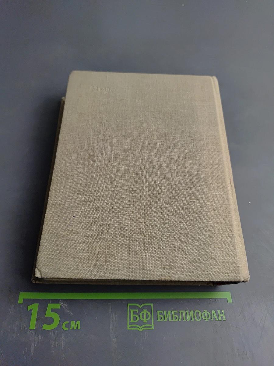 Чижик - птичка с характером