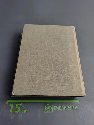 Чижик - птичка с характером