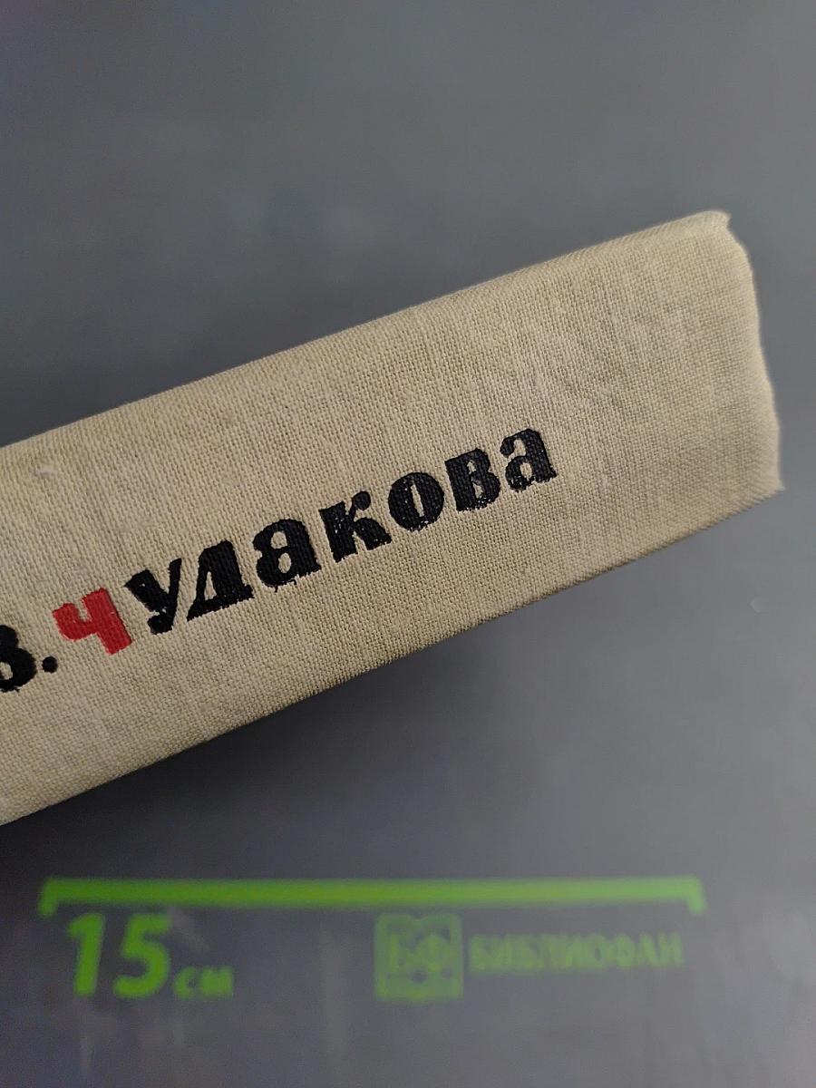 Чижик - птичка с характером