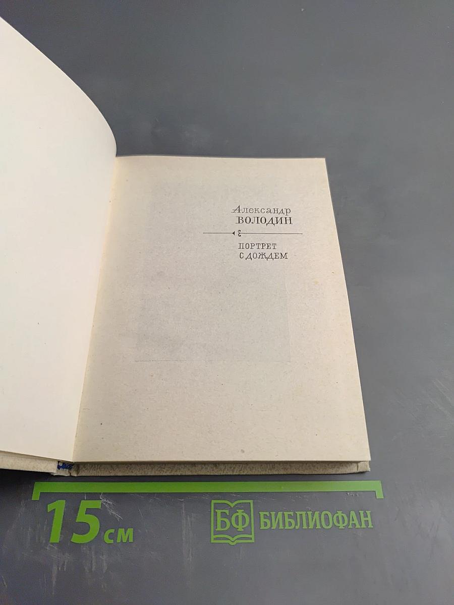 Портрет с дождем