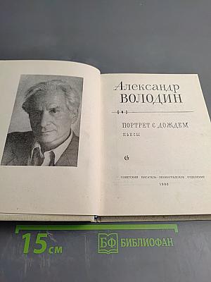 Портрет с дождем