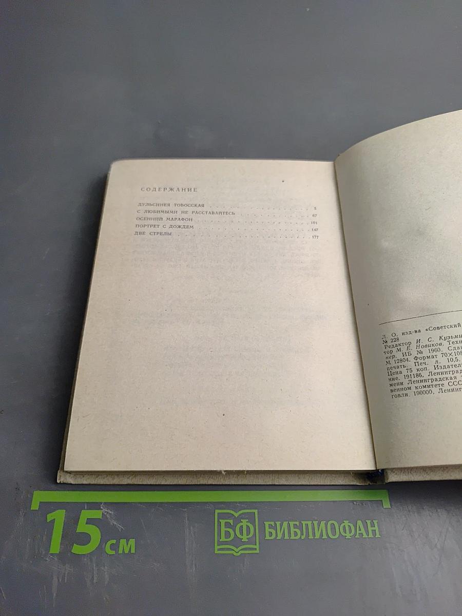 Портрет с дождем