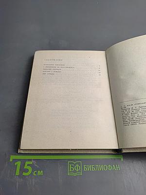 Портрет с дождем