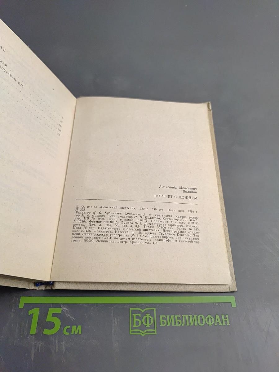 Портрет с дождем