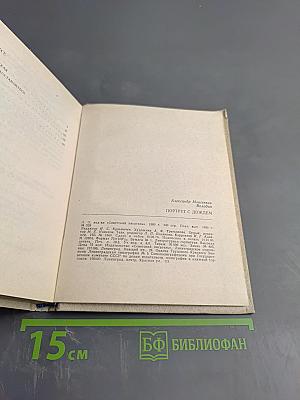 Портрет с дождем