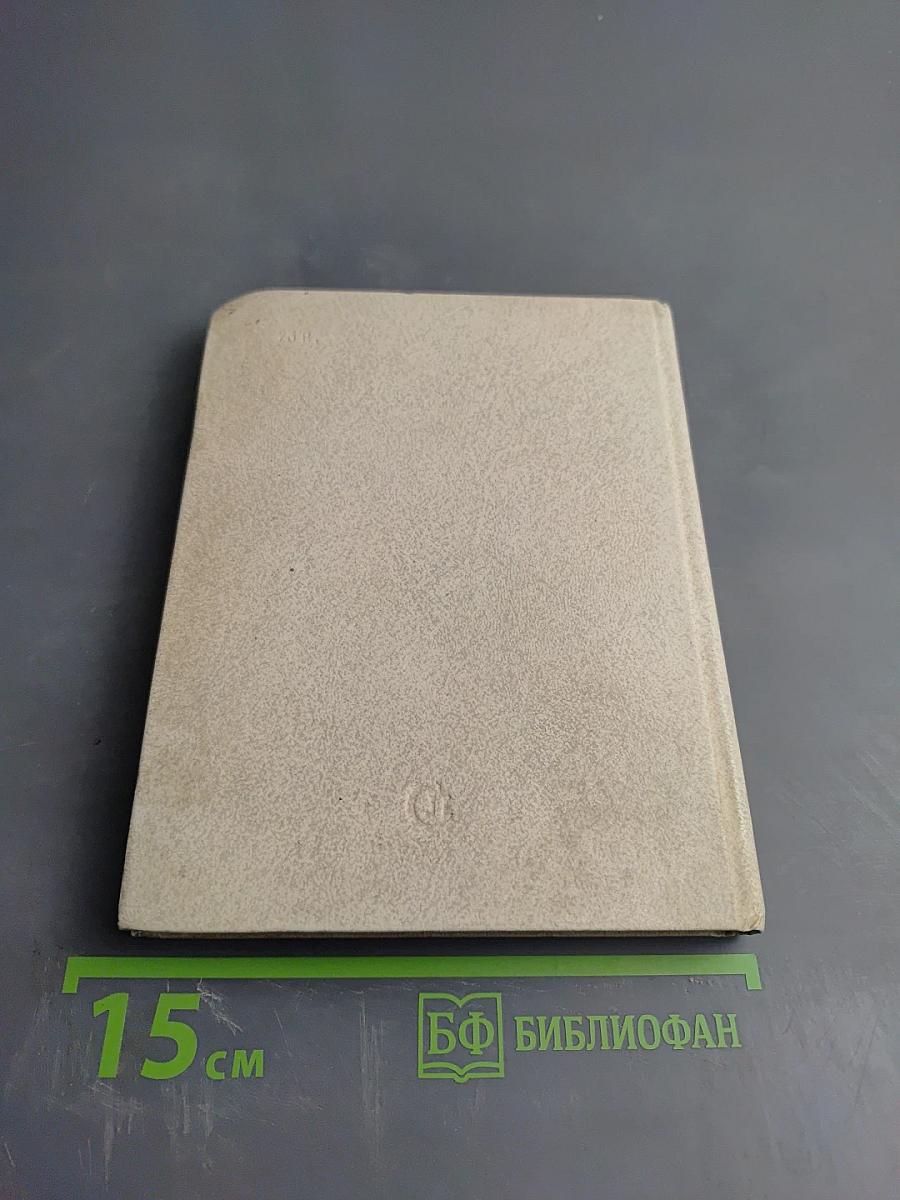 Портрет с дождем