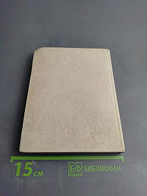 Портрет с дождем