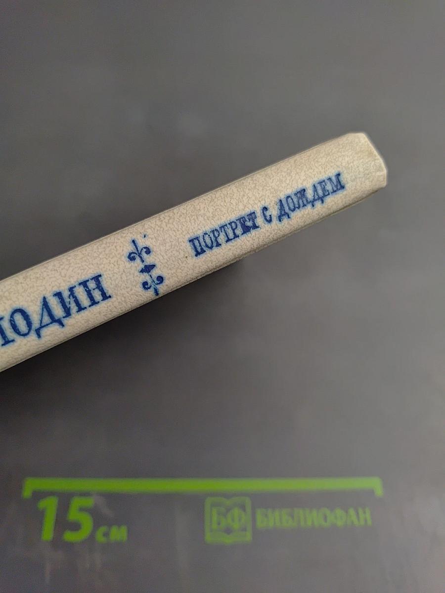 Портрет с дождем