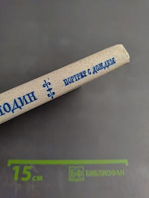 Портрет с дождем