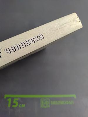 Мозг человека в механизмах информационно-управляющих взаимодействий организма и среды обитания