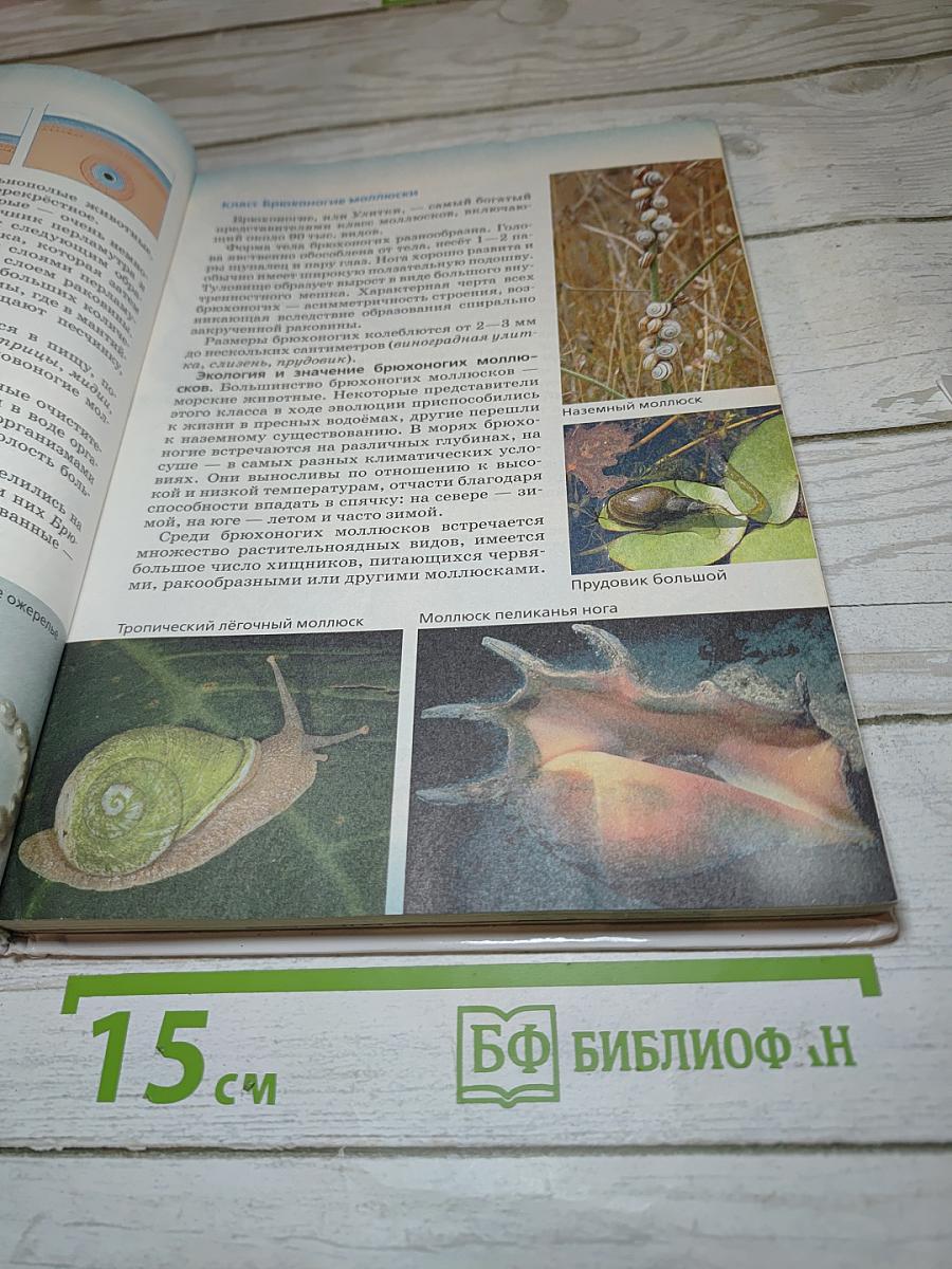 Биология. Многообразие живых организмов. Животные для 8 класса