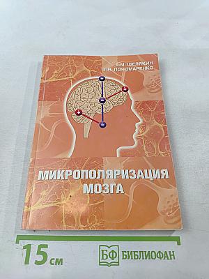 Микрополяризация мозга. Теоретические и практические аспекты
