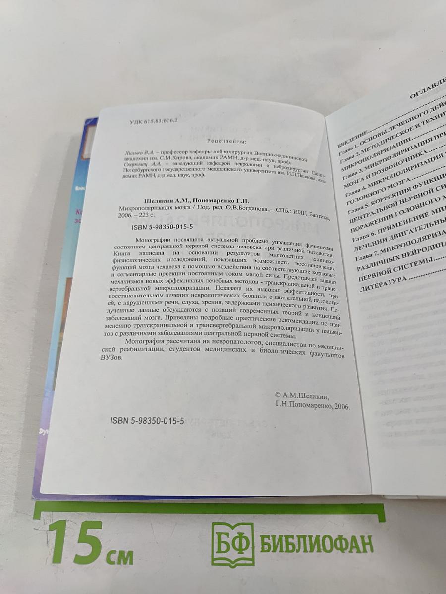 Микрополяризация мозга. Теоретические и практические аспекты