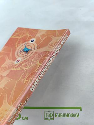 Микрополяризация мозга. Теоретические и практические аспекты