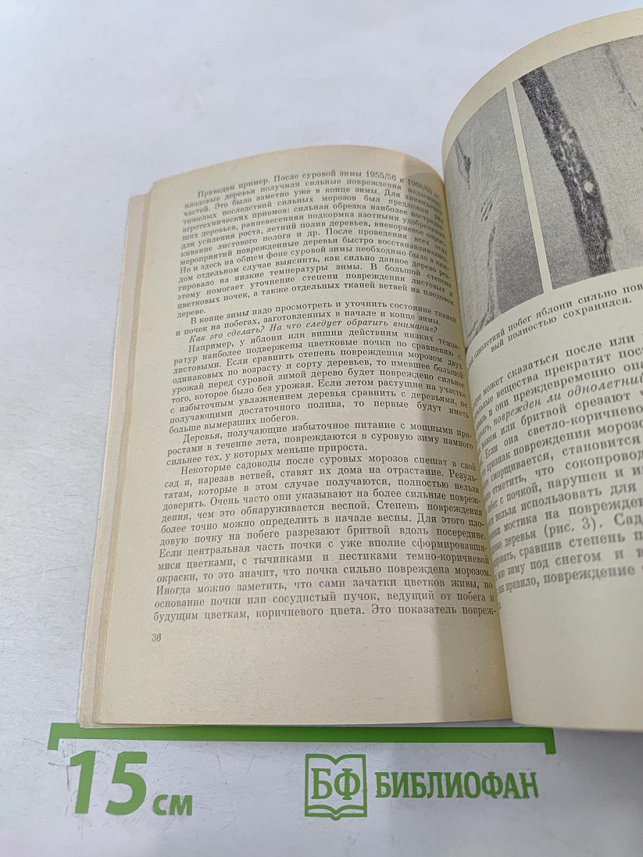 Сезонные работы в приусадебном саду