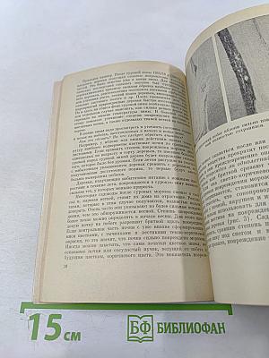 Сезонные работы в приусадебном саду