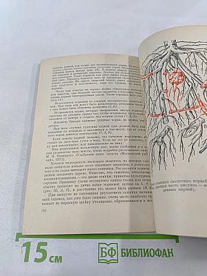 Сезонные работы в приусадебном саду