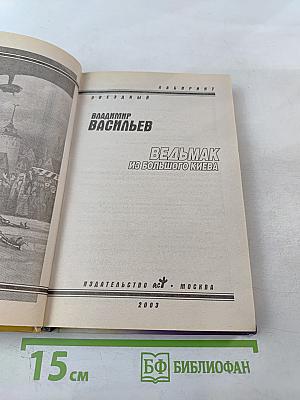 Ведьмак из Большого Киева