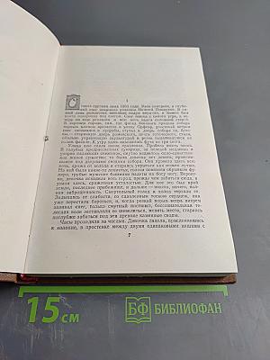 Мечта. Человек-зверь. Том 13