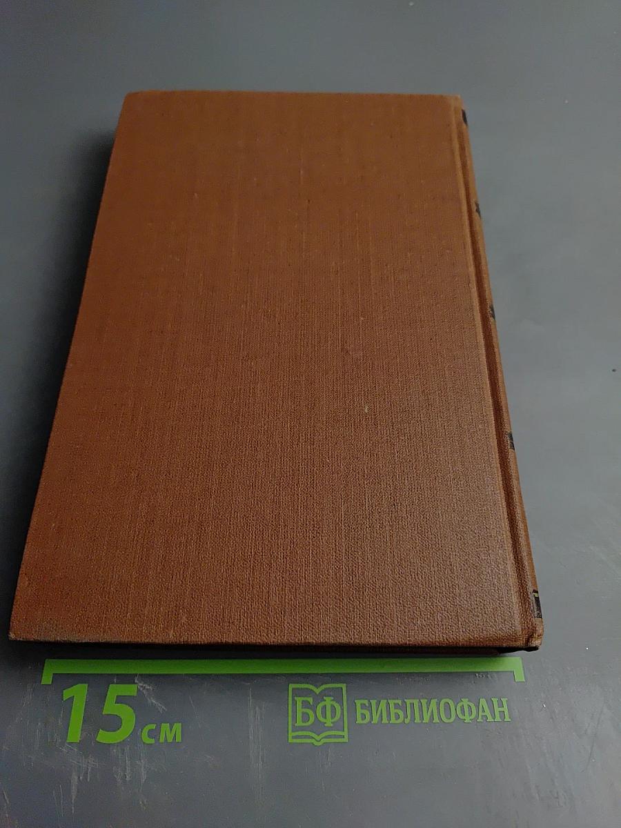 Мечта. Человек-зверь. Том 13