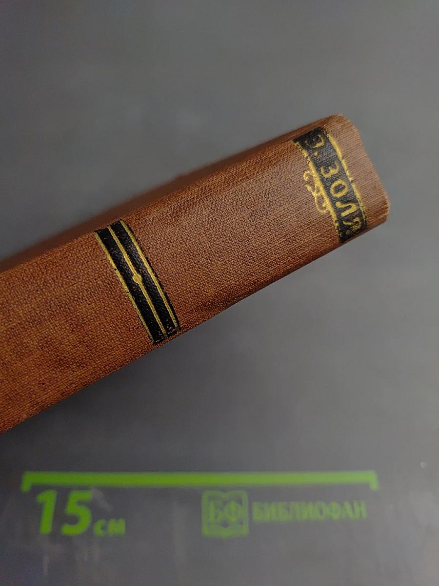 Мечта. Человек-зверь. Том 13