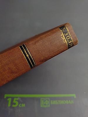 Мечта. Человек-зверь. Том 13