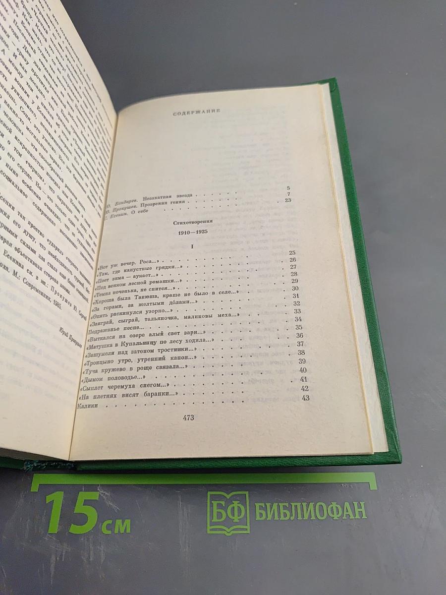 Собрание сочинений в двух томах. Том 1. Стихотворения, поэмы