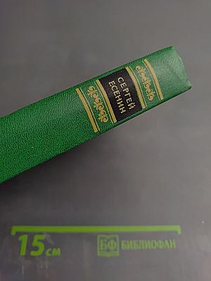 Собрание сочинений в двух томах. Том 1. Стихотворения, поэмы